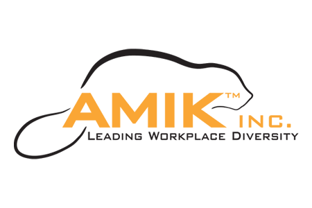 AMIK Inc. Logo